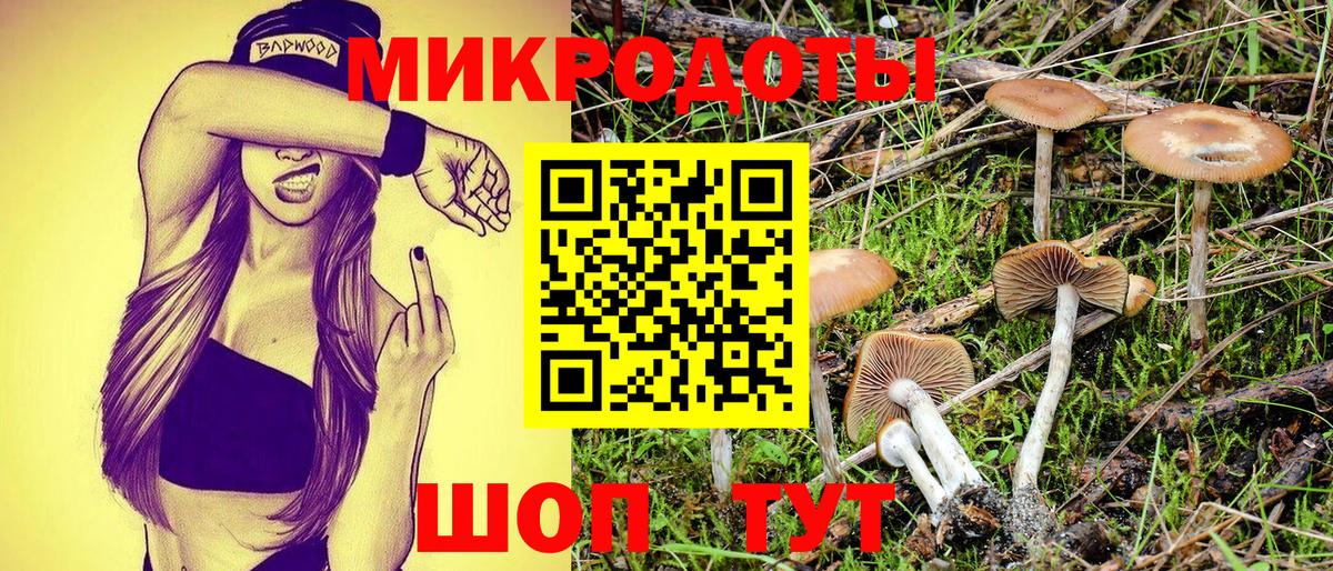 купить наркотик  Галлюциногенные грибы Psilocybine cubensis  Вход с VPN  Шебекино 